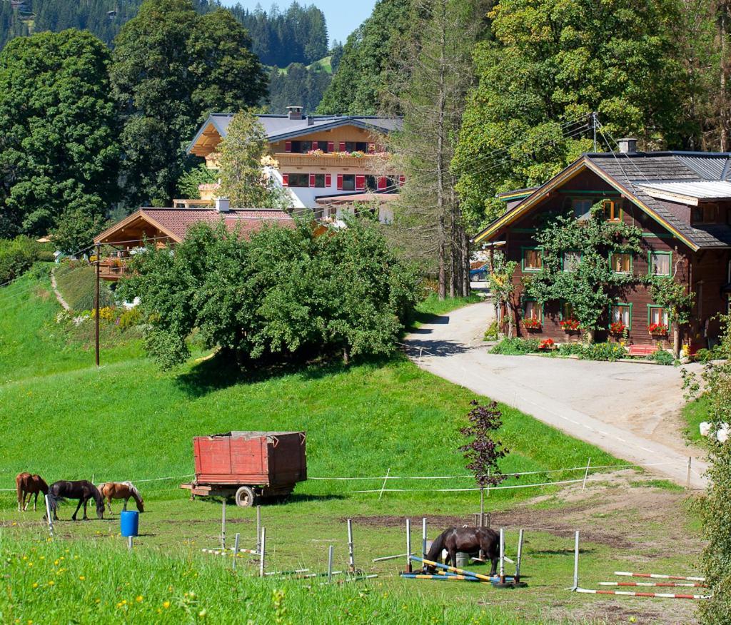Zauchtaler Hof Hotell Altenmarkt im Pongau Eksteriør bilde